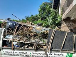 Types of Items We Remove From Your Property in Dodge Center, MN